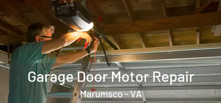  Garage Door Motor Repair Marumsco - VA