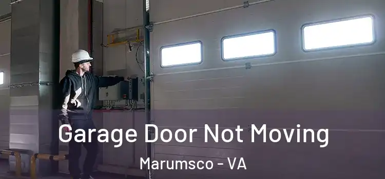  Garage Door Not Moving Marumsco - VA