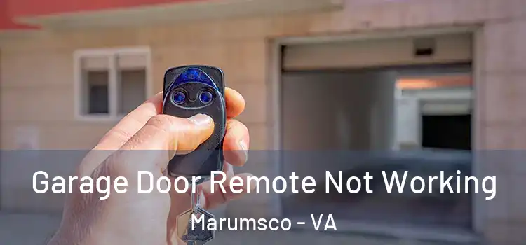  Garage Door Remote Not Working Marumsco - VA