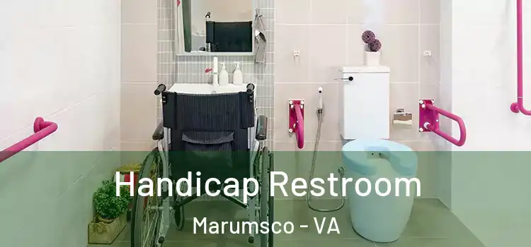  Handicap Restroom Marumsco - VA