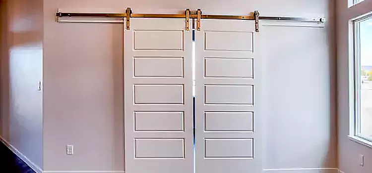 Glass Barn Door with Installation Hardware Kit Marumsco