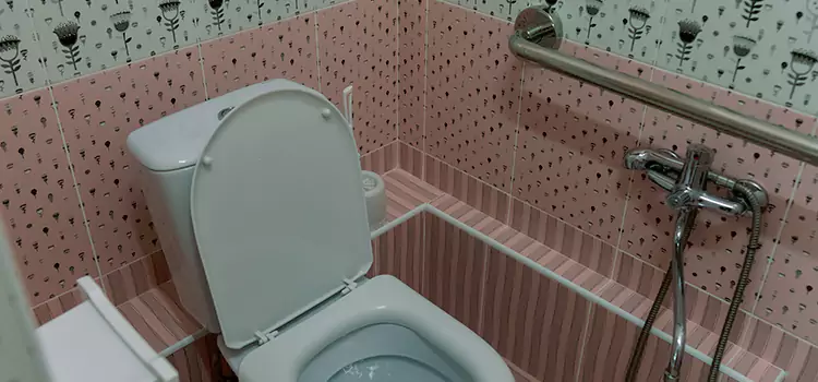 Meeting Diverse Needs With Accessible Restroom Solutions in Marumsco, VA